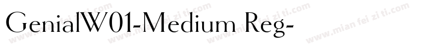 GenialW01-Medium Reg字体转换